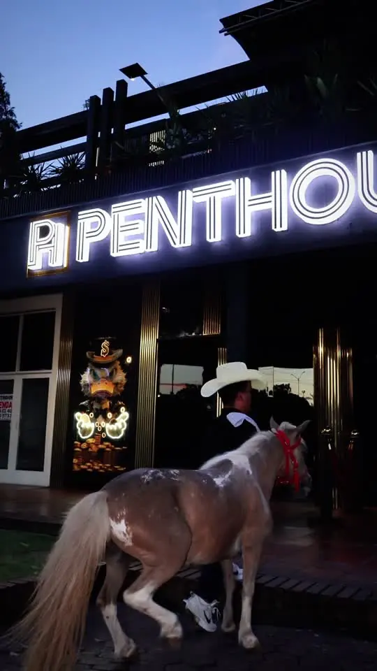 Cantinazo en Penthouse Club Cúcuta